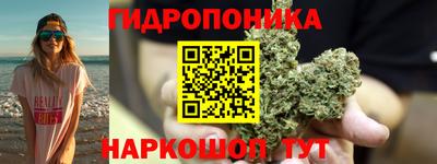 спиды Лесосибирск
