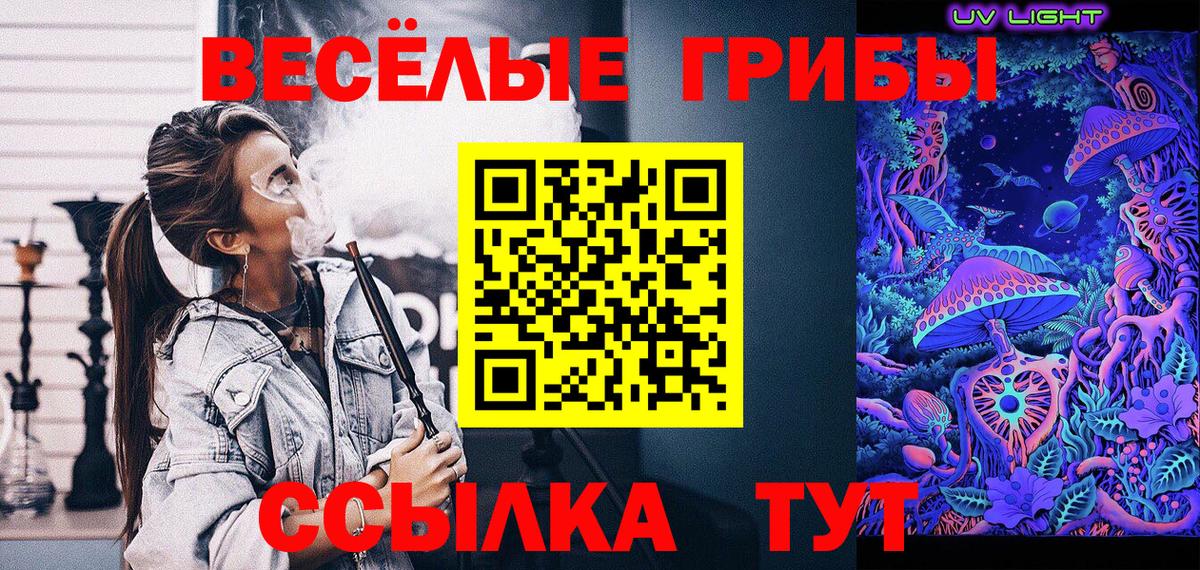 Троицк  Псилоцибиновые грибы мухоморы  Вход с VPN 