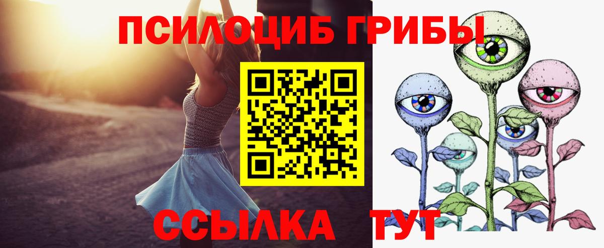 Псилоцибиновые грибы Psilocybine cubensis Троицк