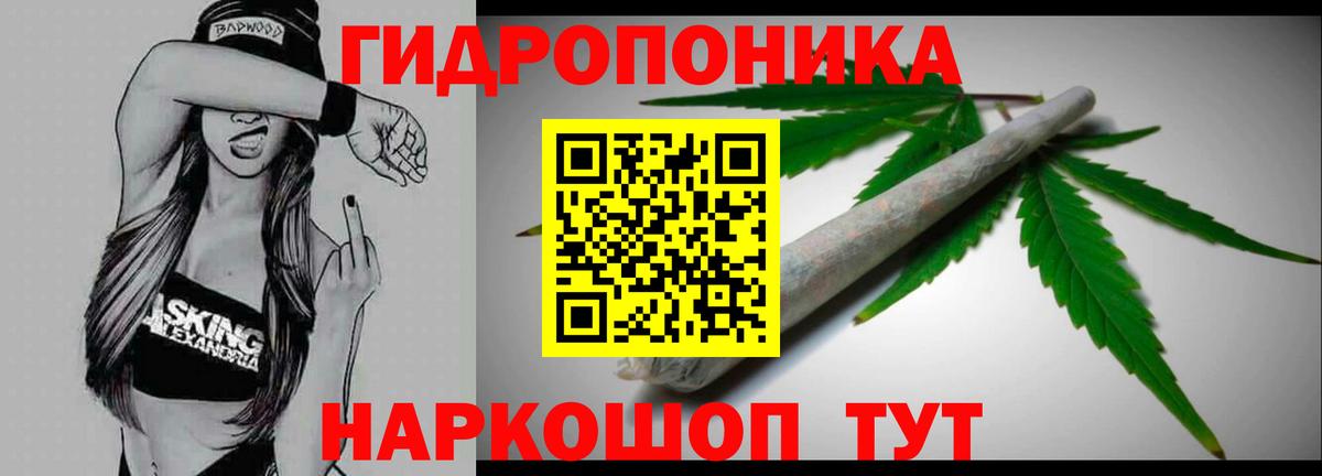 Бошки Шишки планчик Троицк
